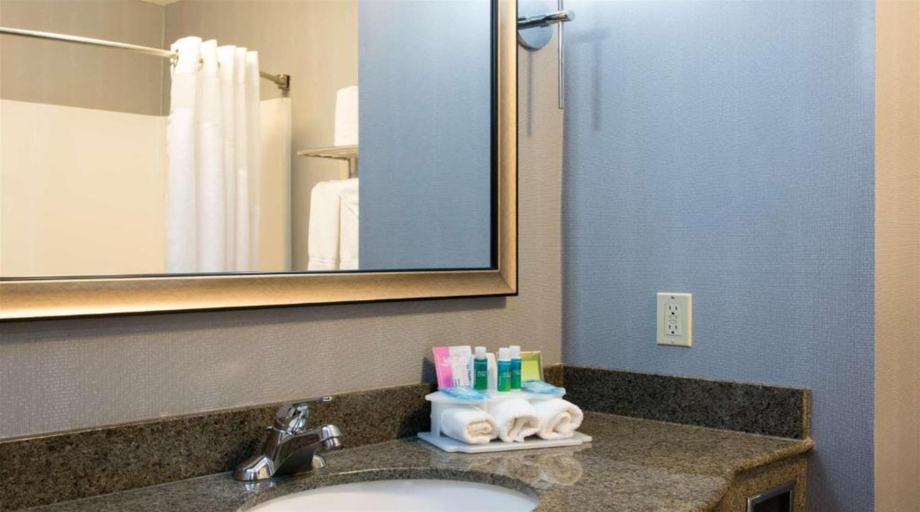 Bathroom 4, Holiday Inn Express & Suites DANVILLE by IHG, Vermilion