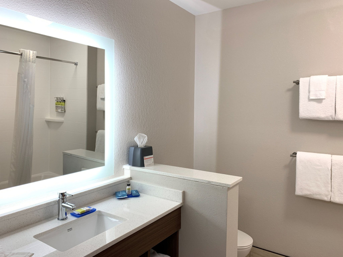 Bathroom 2, Holiday Inn Express & Suites DANVILLE by IHG, Boyle