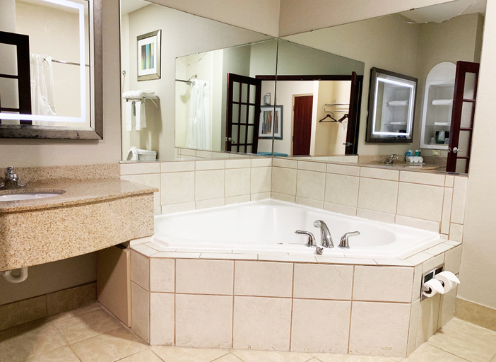 Bathroom 3, Holiday Inn Express & Suites GAINESVILLE by IHG, Cooke