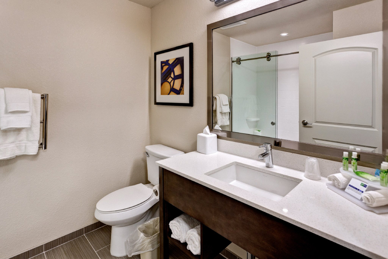 Bathroom 4, Holiday Inn Express & Suites GREAT BEND by IHG, Barton
