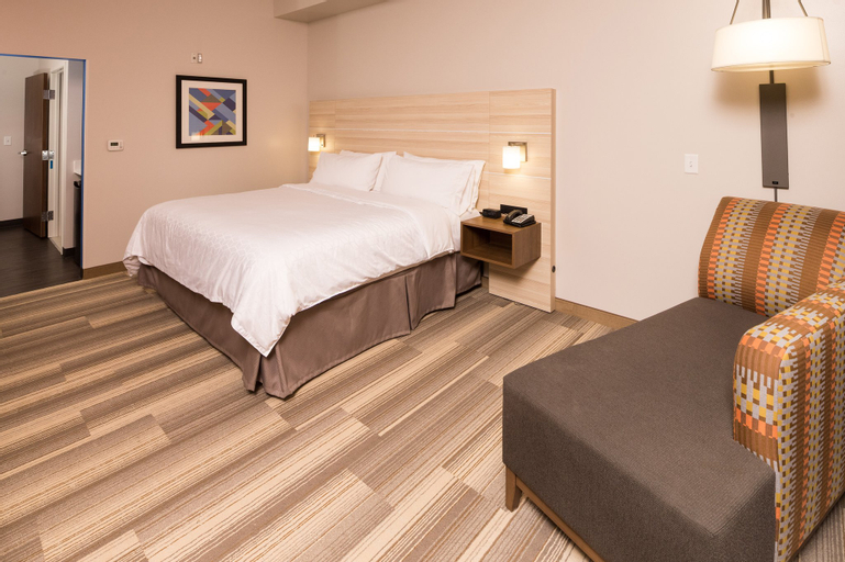 Holiday Inn Express & Suites AUBURN, Allen