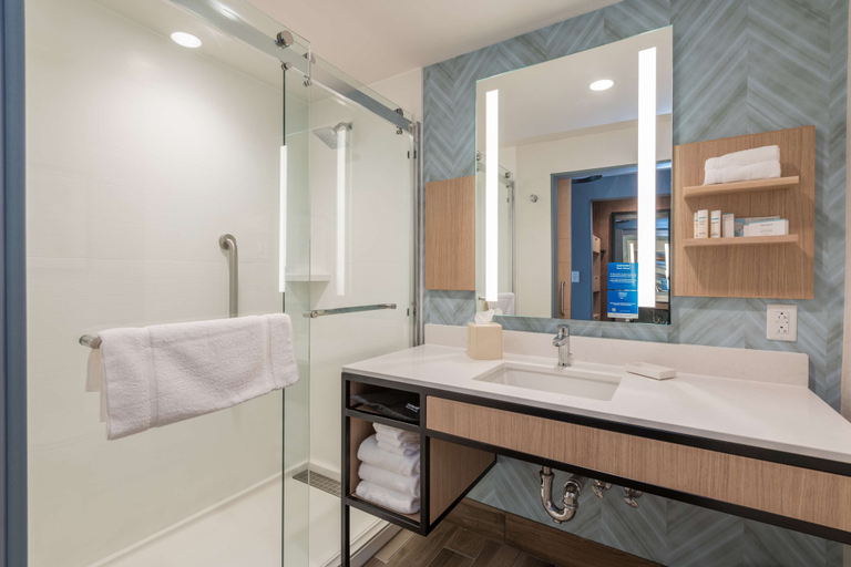 Bathroom 4, Hilton Garden Inn Boston Canton, Norfolk