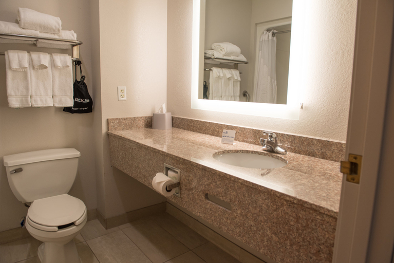 Bathroom 2, Holiday Inn Express & Suites ELKHART-SOUTH by IHG, Elkhart