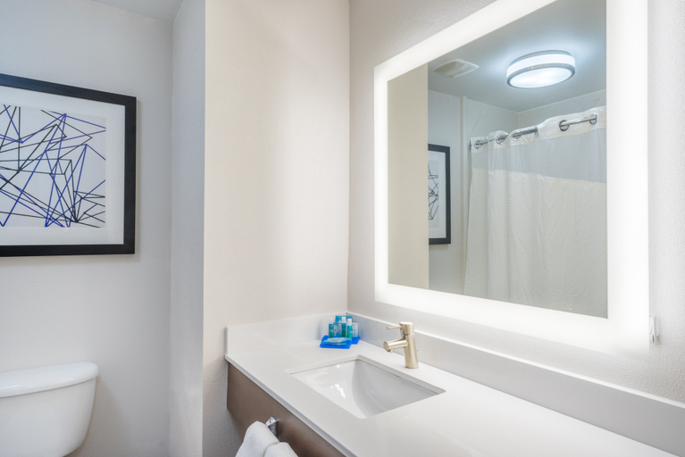 Bathroom 5, Holiday Inn Express & Suites FRANKFORT by IHG, Franklin