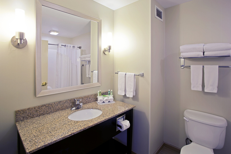 Bathroom 3, Holiday Inn Express & Suites GRAND RAPIDS-NORTH by IHG, Kent