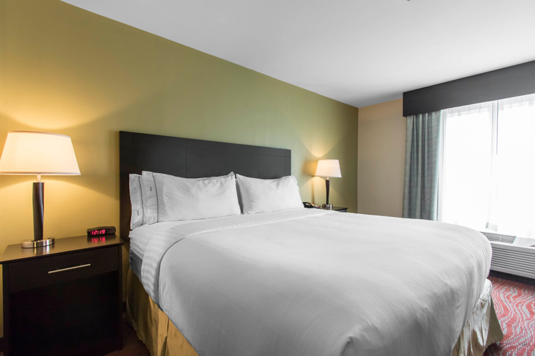Bedroom 3, Holiday Inn Express & Suites CULLMAN by IHG, Cullman