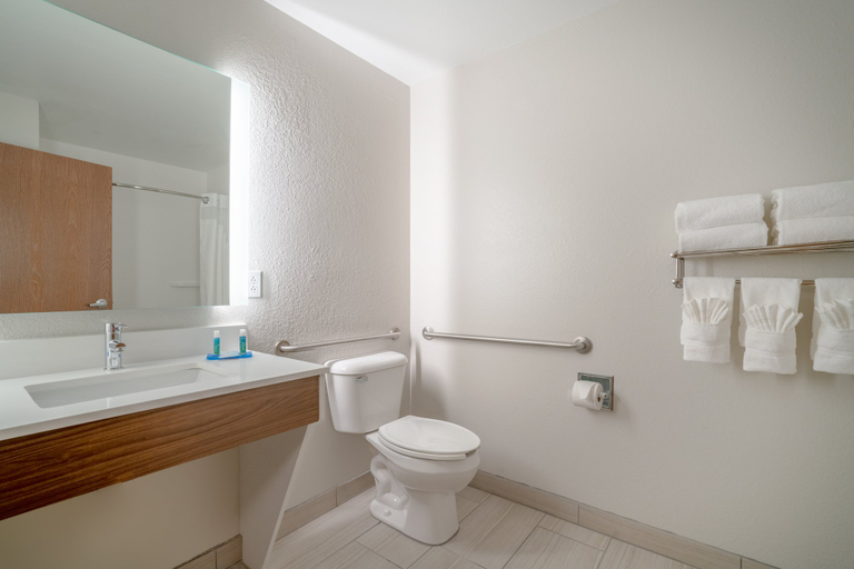 Bathroom 3, Holiday Inn Express & Suites ELKINS by IHG, Randolph