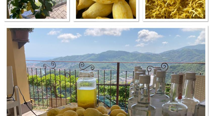 Food & Drinks 5, B&B Bella Vista, Genova