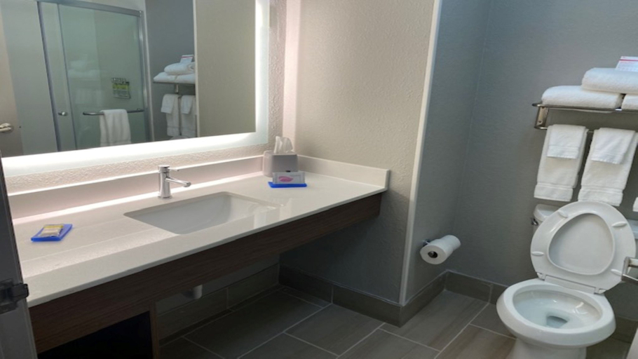Bathroom 4, Holiday Inn Express & Suites ENTERPRISE by IHG, Coffee