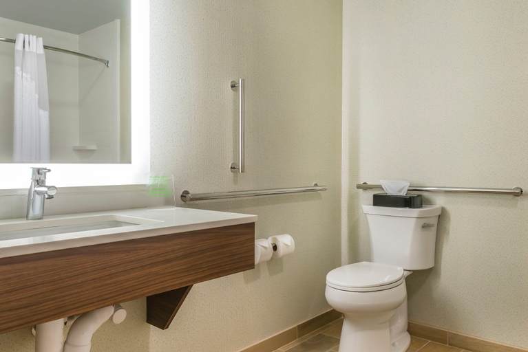 Bathroom 4, Holiday Inn Express & Suites CLARION by IHG, Clarion