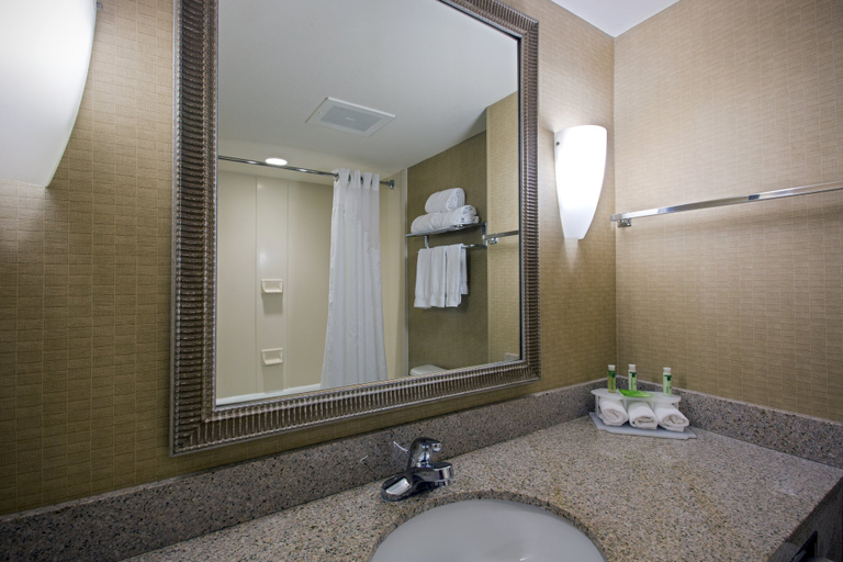 Bathroom 3, Holiday Inn Express & Suites JACKSON - FLOWOOD by IHG, Rankin