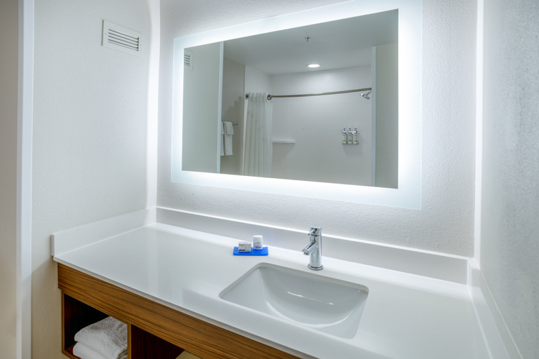 Bathroom 2, Holiday Inn Express & Suites SALISBURY - DELMAR by IHG, Wicomico
