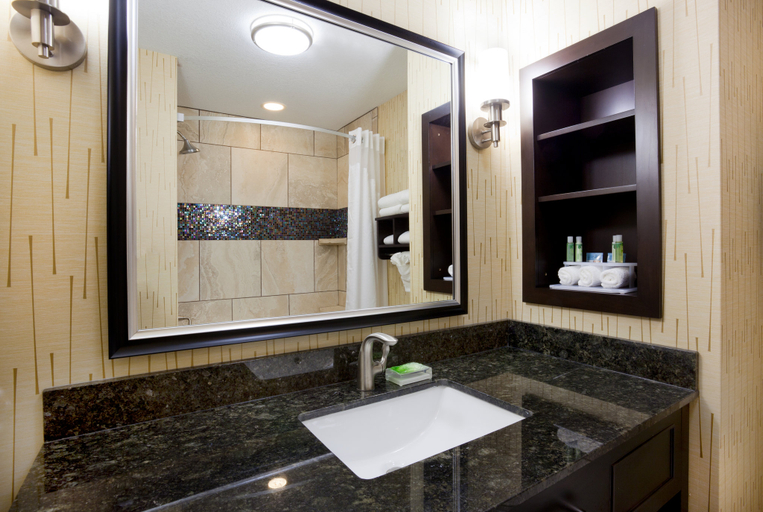 Bathroom 2, Holiday Inn Express & Suites DAVENPORT by IHG, Scott