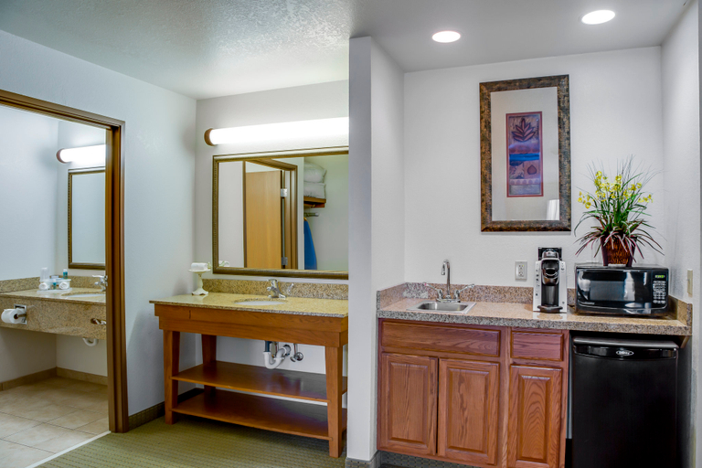 Bathroom 3, Holiday Inn Express & Suites JACKSONVILLE by IHG, Morgan
