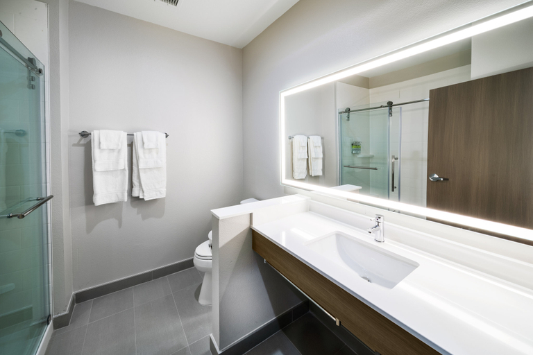 Bathroom 3, Holiday Inn Express & Suites HOUSTON SW - ROSENBERG by IHG, Fort Bend