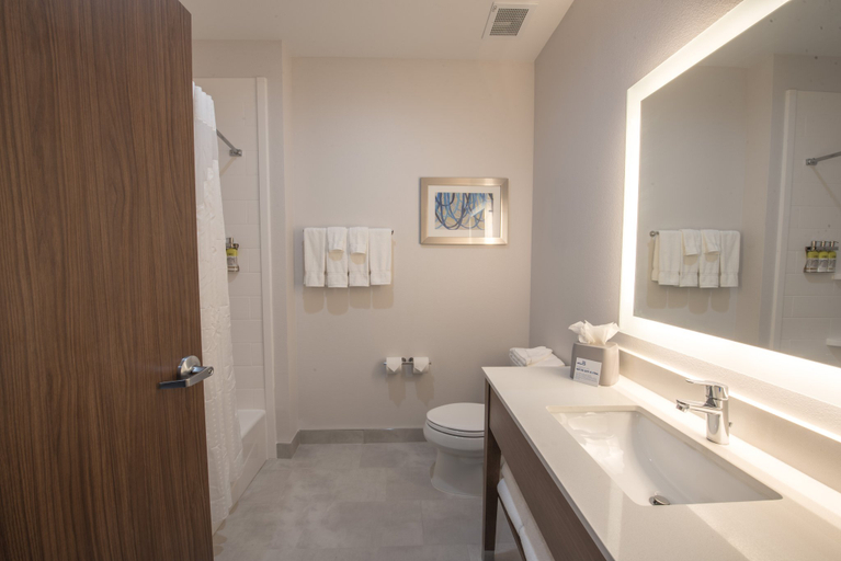 Bathroom 2, Holiday Inn Express & Suites HOUSTON WESTCHASE - WESTHEIMER by IHG, Houston