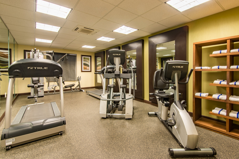 Others 2, Holiday Inn Express & Suites HOBBS by IHG, Lea