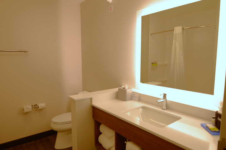 Bathroom 4, Holiday Inn Express & Suites ONALASKA - LA CROSSE AREA by IHG, La Crosse