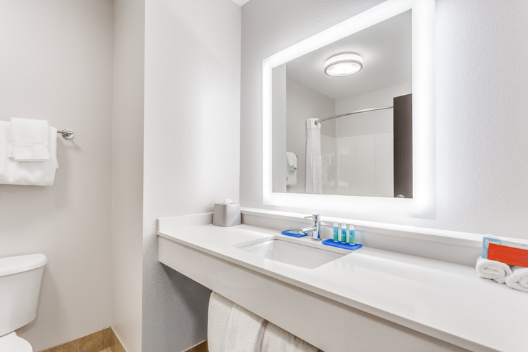 Bathroom 3, Holiday Inn Express & Suites EAU CLAIRE NORTH by IHG, Chippewa