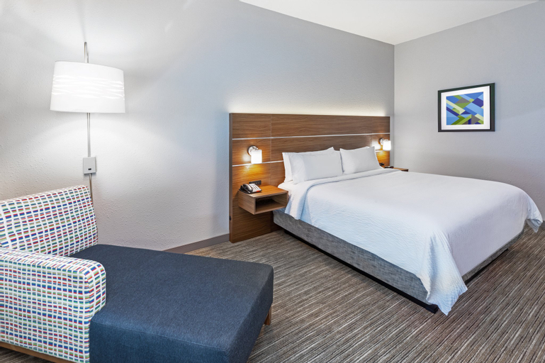 Bedroom 5, Holiday Inn Express & Suites HOUSTON - N DOWNTOWN, Harris