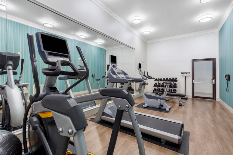 Others 3, Holiday Inn Express & Suites HOUSTON-ALVIN by IHG, Brazoria