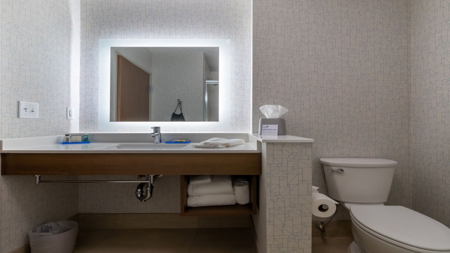 Bathroom 3, Holiday Inn Express & Suites MARION by IHG, McDowell