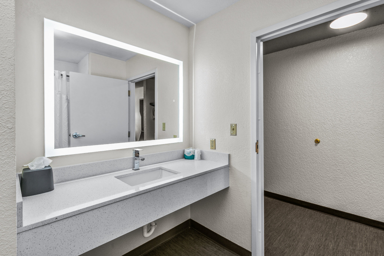 Bathroom 2, Holiday Inn Express & Suites LUCEDALE by IHG, George