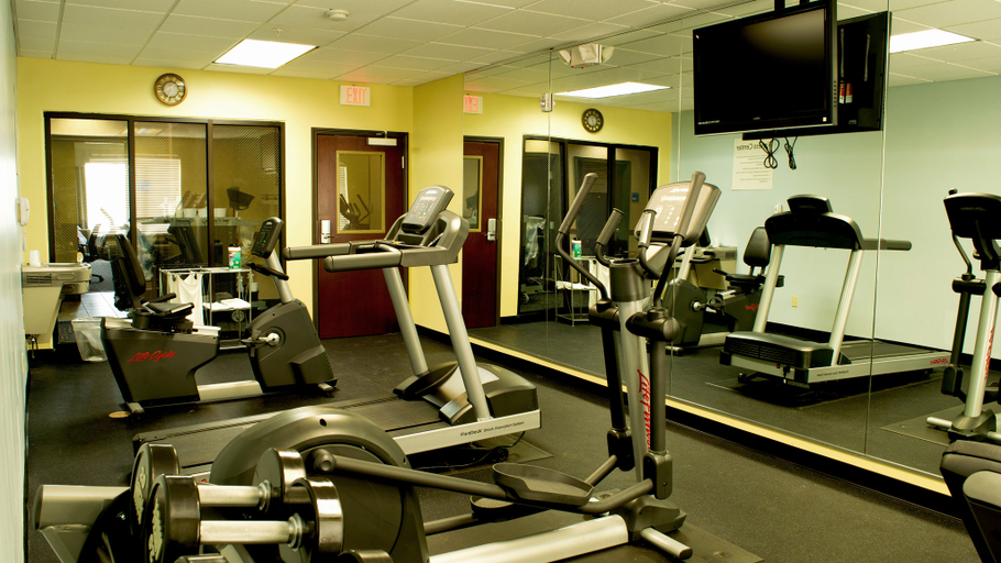 Others 3, Holiday Inn Express & Suites WALLER - PRAIRIE VIEW by IHG, Houston