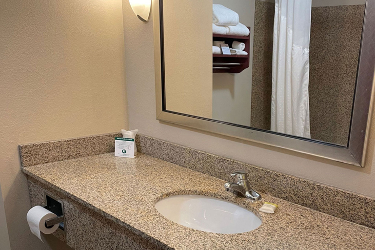 Bathroom 5, Holiday Inn Express & Suites NIAGARA FALLS by IHG, Niagara