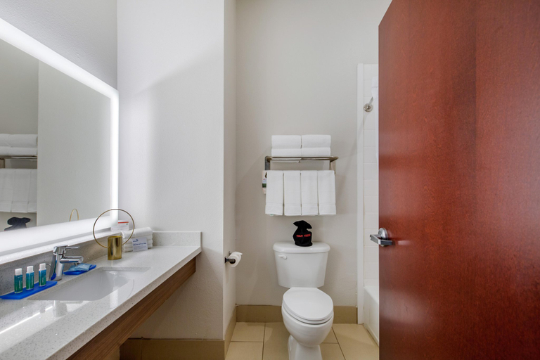 Bathroom 4, Holiday Inn Express & Suites HOUSTON-ALVIN by IHG, Brazoria