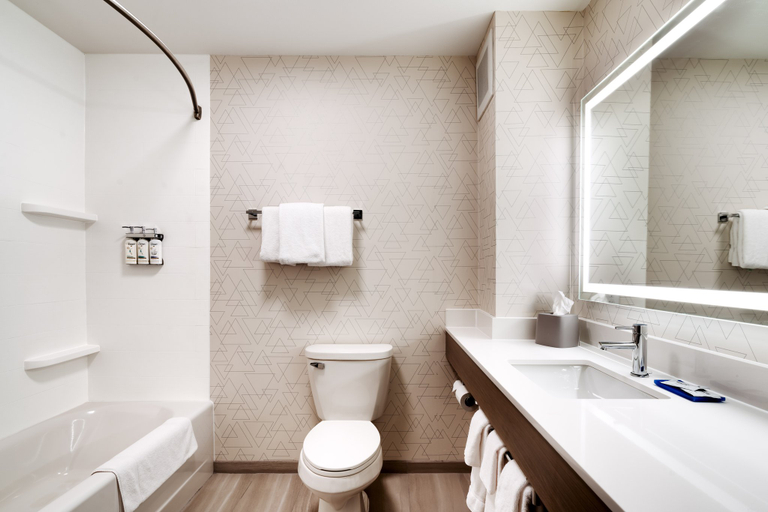 Bathroom 5, Holiday Inn Express & Suites HELENA by IHG, Lewis and Clark