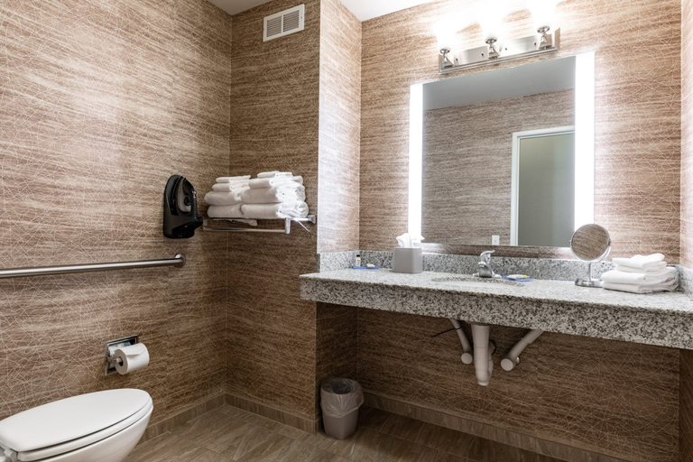 Bathroom 3, Holiday Inn Express & Suites IRONTON by IHG, Lawrence