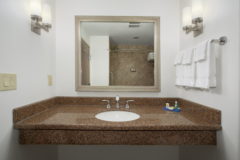 Bathroom 2, Holiday Inn Express & Suites LANDER by IHG, Fremont