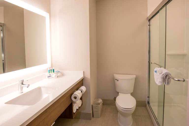 Bathroom 4, Holiday Inn Express & Suites HESPERIA by IHG, San Bernardino