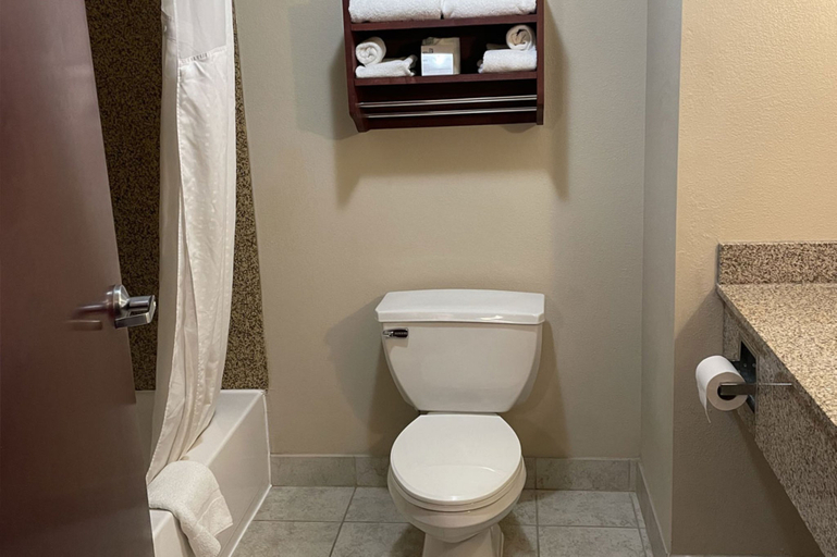 Bathroom 5, Holiday Inn Express & Suites NIAGARA FALLS by IHG, Niagara