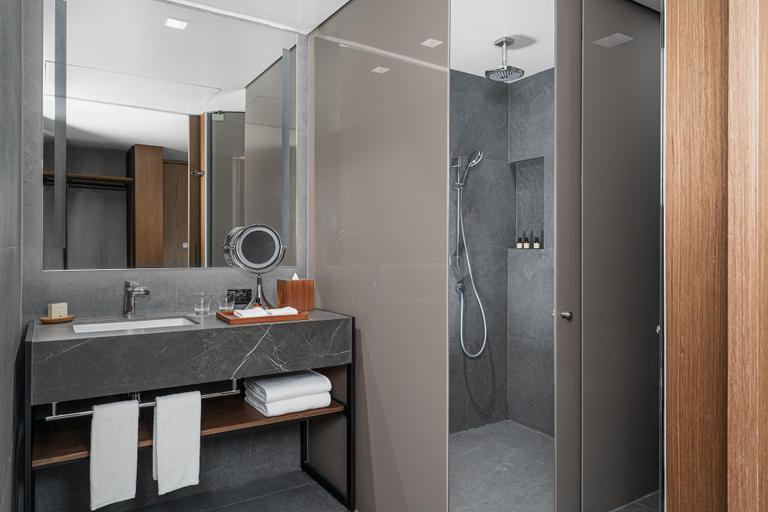 Bathroom 5, Hyatt Regency Mexico City Insurgentes - WTC, Mexico City