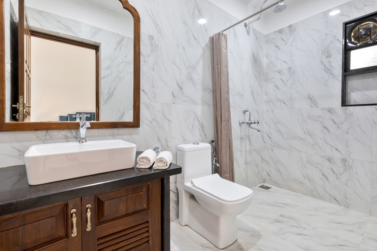Bathroom 5, Leoney Resort, North Goa