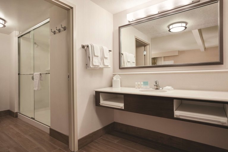 Bathroom 4, Hampton Inn Brigham City, Box Elder