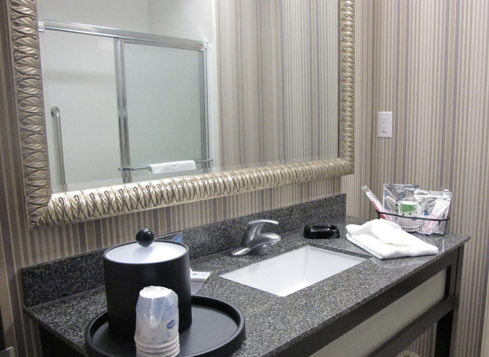 Bathroom 4, Hampton Inn by Hilton Leesville Fort Polk, Vernon