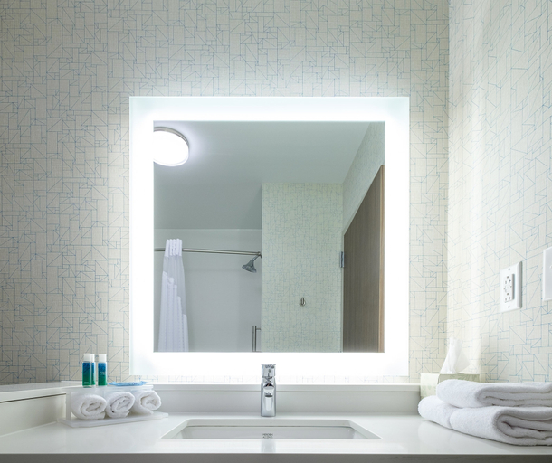 Bathroom 3, Holiday Inn Express & Suites EAGAN - MINNEAPOLIS AREA by IHG, Dakota