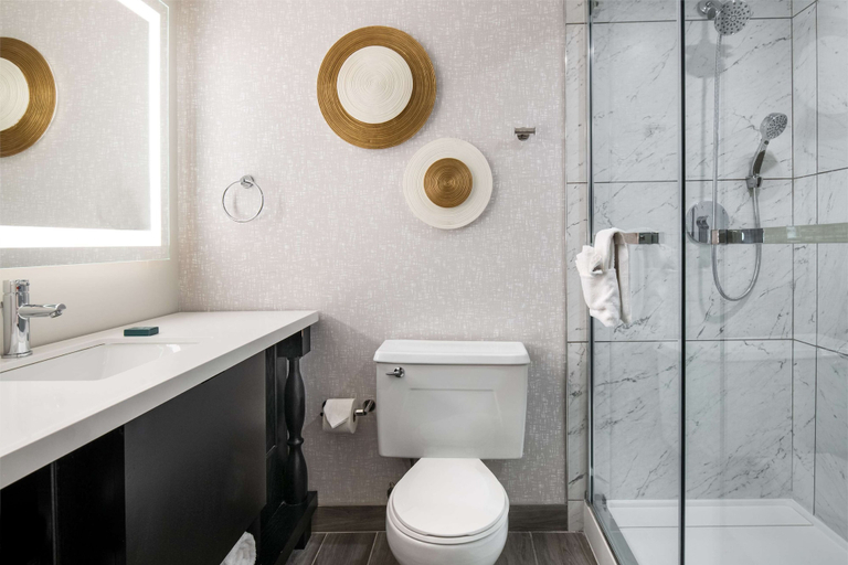 Bathroom 5, Hilton Appleton Paper Valley, Outagamie