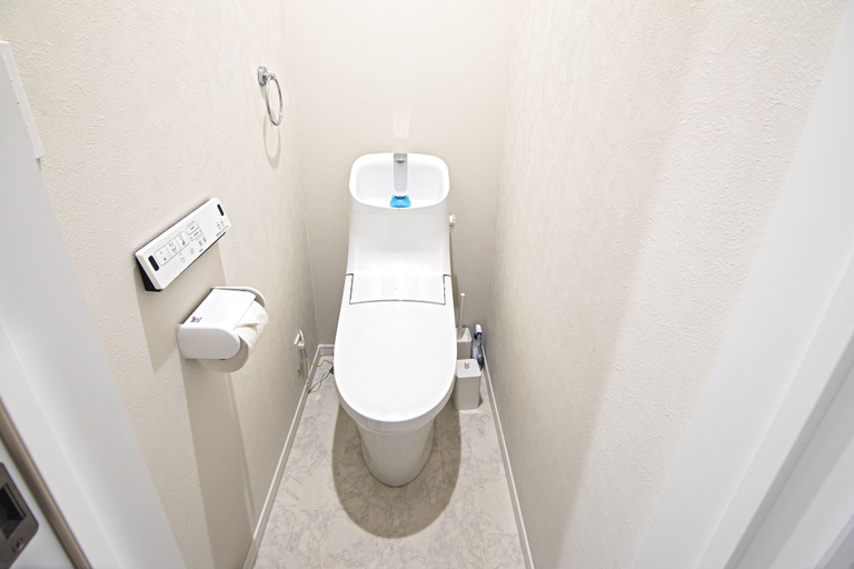 Bathroom 3, Petanigeimasato, Osaka
