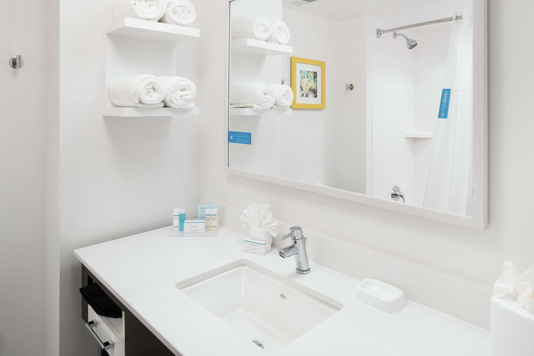 Bathroom 5, Hampton Inn Los Angeles/Santa Clarita, Los Angeles