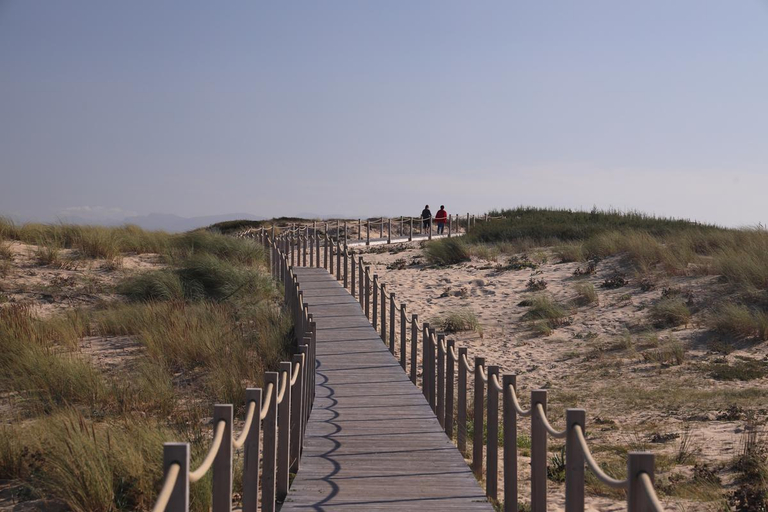 Others 4, En bord de mer, Landes