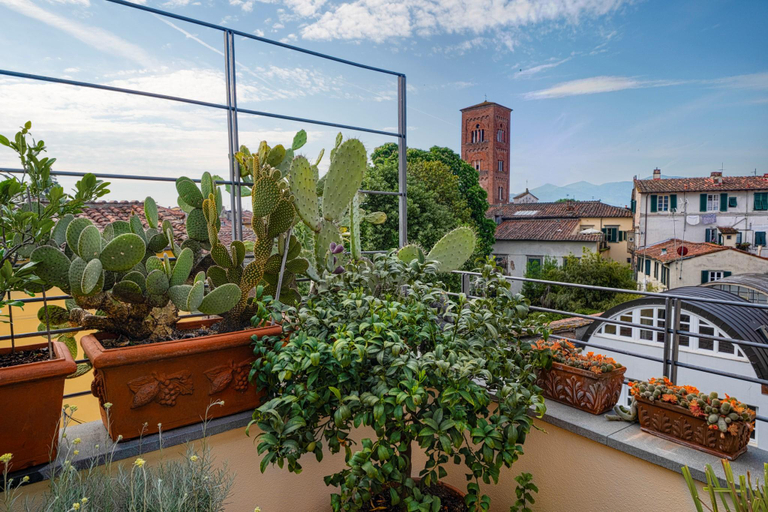 Others 2, My GuestHouse, Lucca