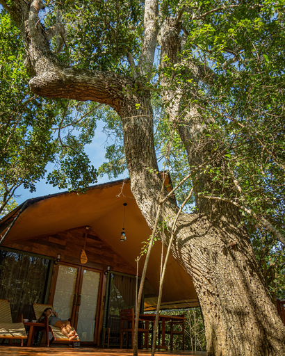 Exterior & Views 2, Leopard Reach Yala by Seven Angels, Thissamaharama