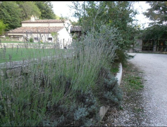 Others 5, Casale Cipriani, Campobasso