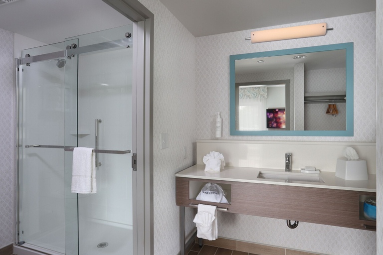 Bathroom 5, Hampton Inn & Suites Manistee Waterfront, Lake Michigan