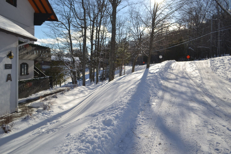 Others 4, Hôtel du lac - RVMT, Les Laurentides