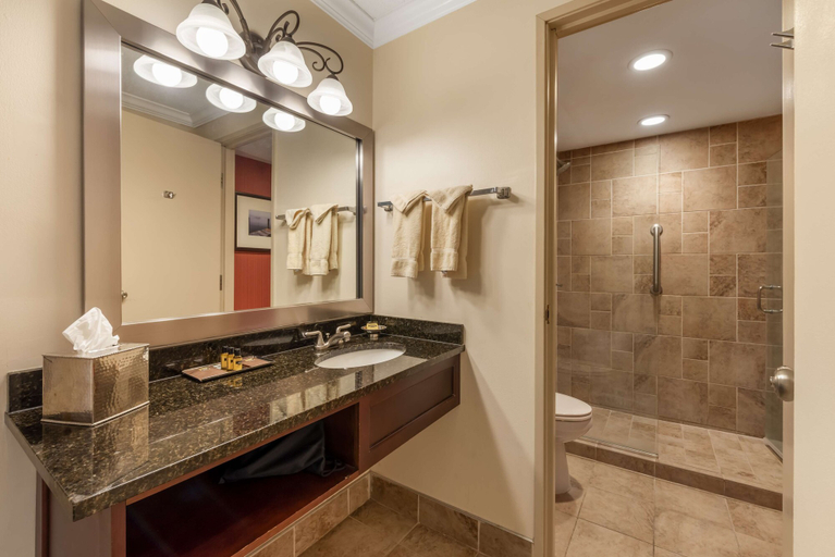 Bathroom 5, Best Western Plus White Bear Country Inn, Ramsey